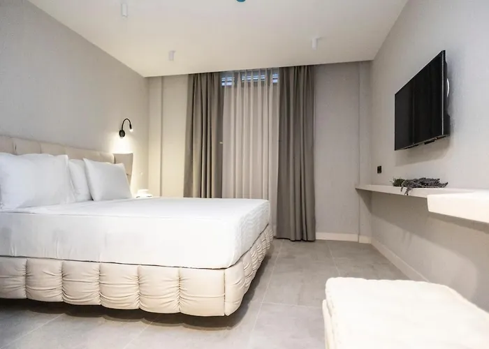 Hotel Ala Da Vinci *